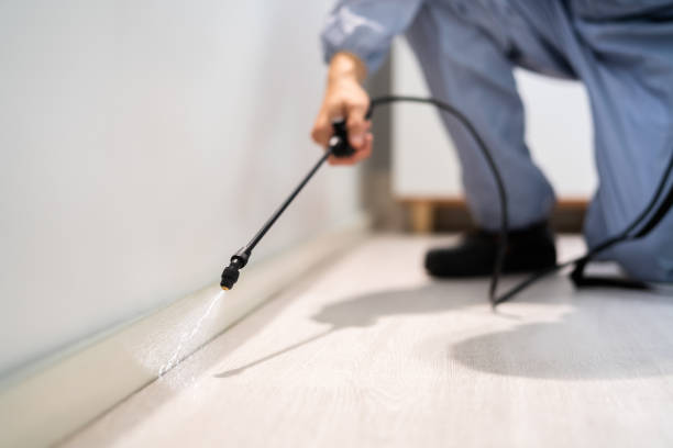Licensed Pest Control service in Lawton, MI - Show Me Pest Control