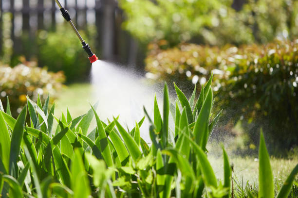 24/7 Emergency Mosquito Control experts in Lawton, MI