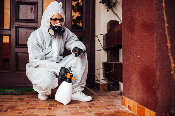 Reliable Mosquito Control contractor in Lawton, MI by Show Me Pest Control