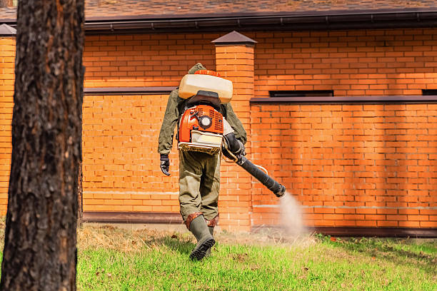 Top rated local Mosquito Control specialists in Lawton, MI